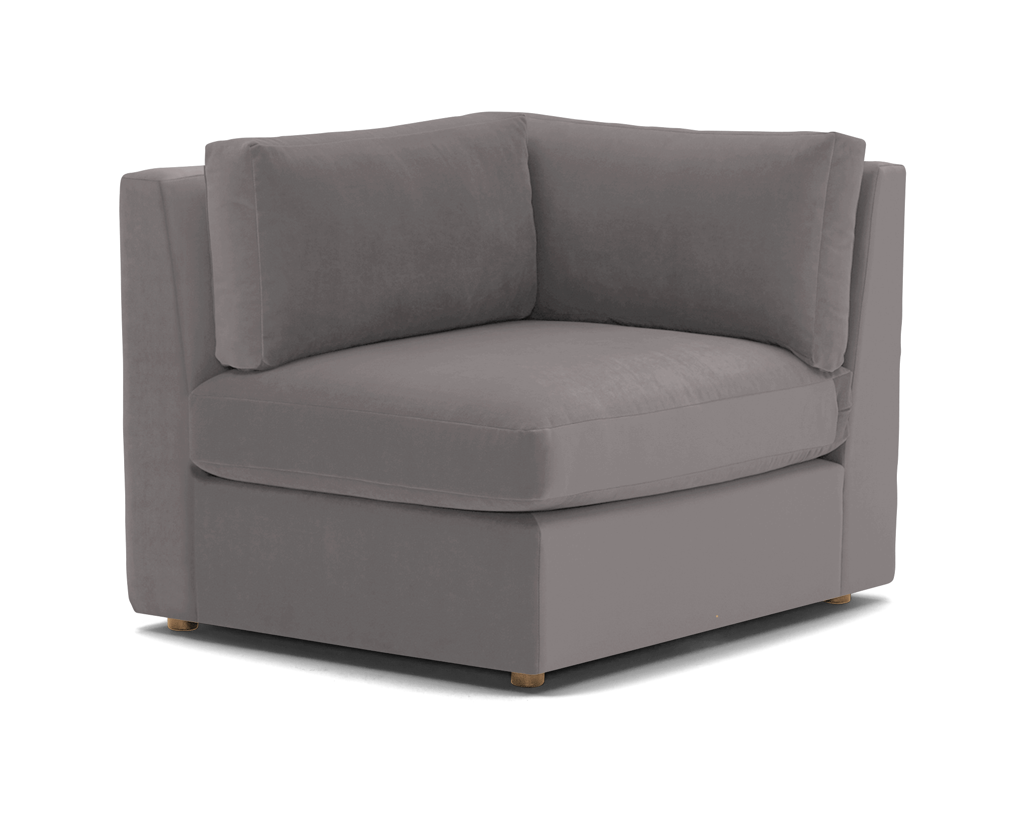 Daya Collection Joybird